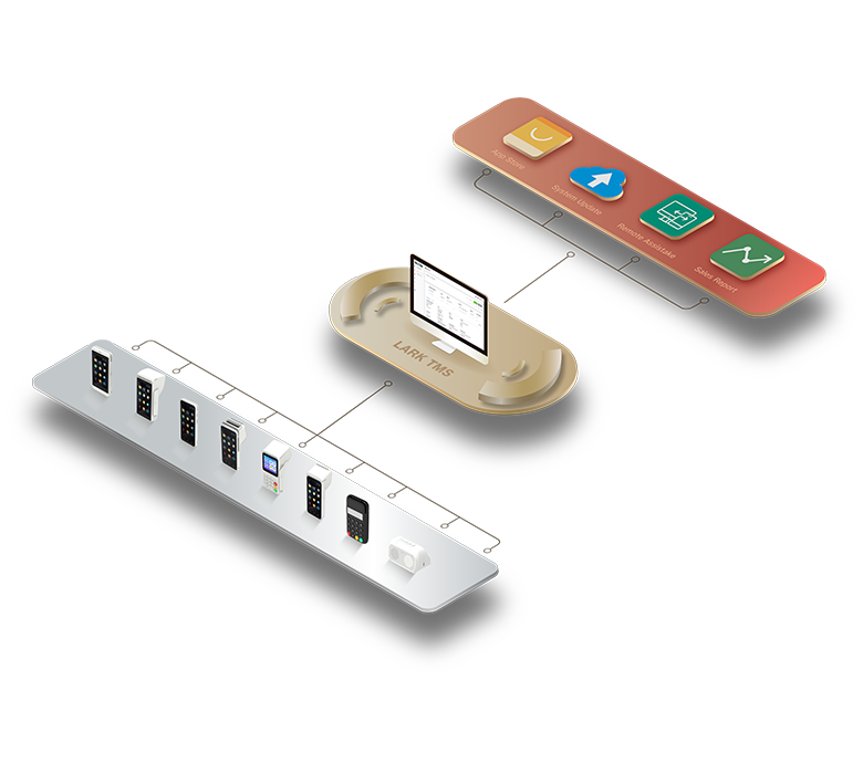 TMS (sistema de gestión de terminales)