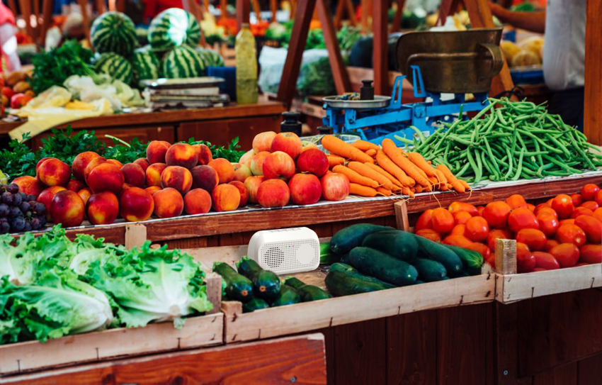 Puesto de frutas y verduras